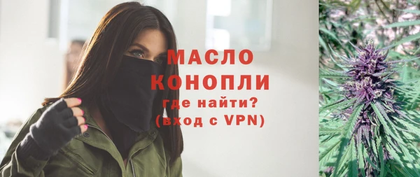 дживик Тобольск