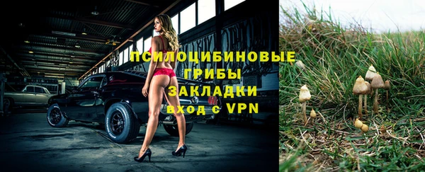 прущие грибы Абдулино