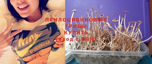 дживик Тобольск