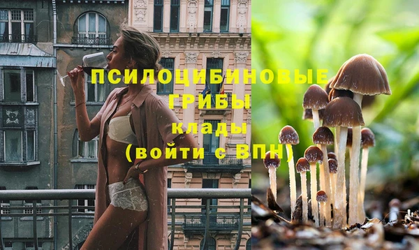 кокаин перу Абаза