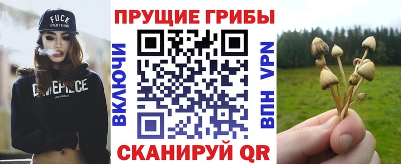 Галлюциногенные грибы мухоморы  Оренбург 